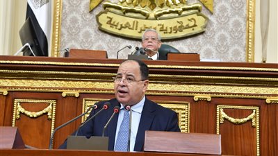 وزير المالية : لولا أزمة كورونا لحققنا نمو 6%