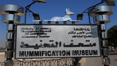 أشهرها جعران مجنح.. استفتاء على 3 قطع أثرية لاختيار 