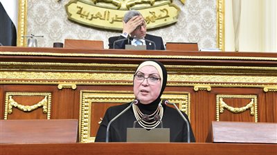 وزيرة الصناعة: جارٍ مراجعة منظومة تخصيص الأراضي.. ولن أسمح بتسقيع المناطق الصناعية