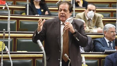 وكيل النواب يطالب بتجميل أسطح البيوت لاستغلالها كمصادر للطاقة