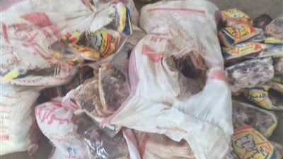 ضبط 17 طن رومي وسمان غير صالحة للاستهلاك الآدمي بالقليوبية (صور) 