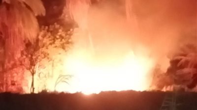 اشتعال النيران بنخيل مجاور  لزراعات القصب بإسنا فى الأقصر