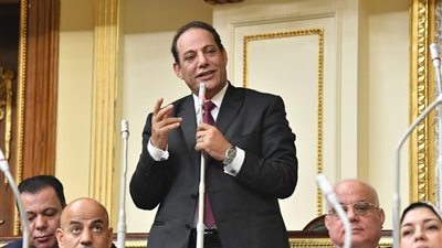 برلمانيون يطالبون وزير السياحة والآثار بالاهتمام بمدينتي القناطر الخيرية وأخميم