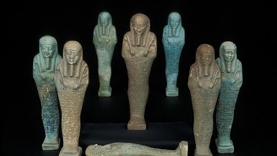 يعرض 8 تماثيل من الأوشابتي.. أبرز مقتنيات متحف الآثار بمكتبة الإسكندرية