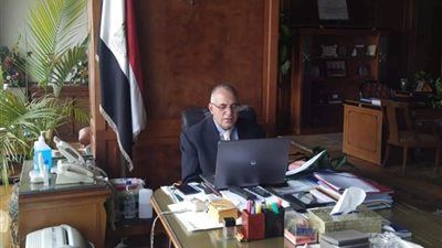 وزيرا الزراعة والري: إجراءات تنسيقية لتحديد مساحات زراعة الأرز هذا العام