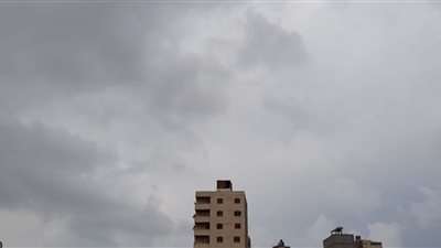 هطول أمطار متوسطة وانخفاض فى درجات الحرارة بالإسكندرية (صور)