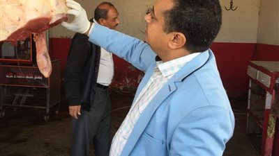 ضبط 60 كيلو لحوم فاسدة بمحال الأقصر