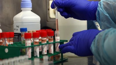 ضبط 4 شهادات مزورة خاصة بتحاليل فيروس كورونا لراغبي السفر بكفر الشيخ