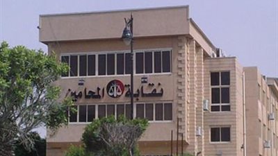 بمنافسة 32 مرشحا.. انطلاق انتخابات نقابة المحامين بأسوان