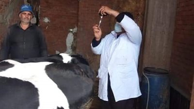 انطلاق الحملة القومية للتحصين ضد الحمى القلاعية وحمى الوادي المتصدع بدمياط