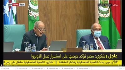 أبوالغيط: لا بد من مواجهة التصرفات الإسرائيلية المستمرة المخالفة لقرارات الشرعية الدولية