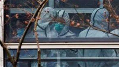 فريق الصحة العالمية في ووهان: انتقال فيروس كورونا من الحيوان إلى الإنسان هو الفرضية الأكثر ترجيحًا