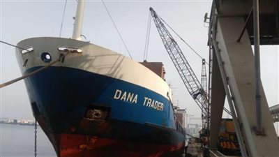 التلوث الإشعاعي وفيروس كورونا يقفزان بأسعار “الأخشاب” بنسبة 15٪ بدمياط