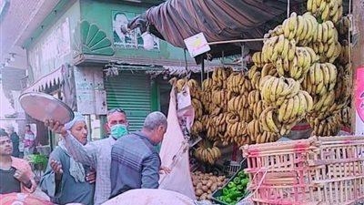 تحرير 13 محضرًا وضبط 69 مخالفة خلال حملة مرافق بسوهاج (صور)