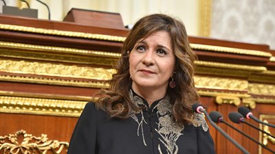 وزيرة الهجرة: الحكم على المهندس 