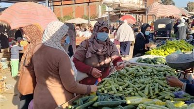 تعوق الحركة المرورية.. إزالة الإشغالات بالسوق العمومية في كفر شكر (صور) 