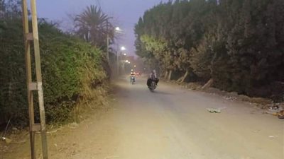 بعد شكوى الأهالي.. صيانة وإنارة أعمدة طريق كفر عابد بطوخ (صور) 