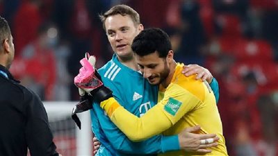 محمد الشناوي: 