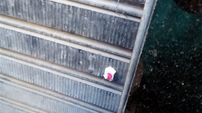 غلق 8 منشآت تجارية كبيرة فى حملة مكبرة بوسط الإسكندرية (صور)