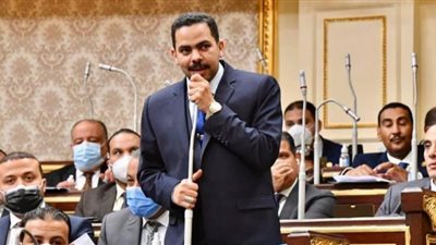 زعيم أغلبية النواب: الشيوخ يثري الحياة السياسية وله دور وطني هام 