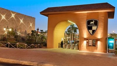 لمخالفته مبادئ النادي.. وادى دجلة يحيل مدرب فريق ناشئي السلة للتحقيق