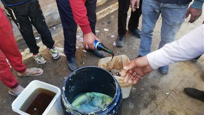 إعدام مواد غذائية وغلق منشآت وتحرير محاضر مخالفة في حملة على بشائر الخير بالإسكندرية 