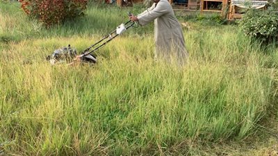 محافظة أسوان تستعد لتعامد الشمس على أبو سمبل (صور)