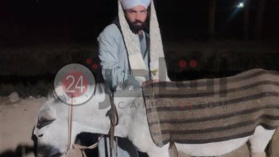 يسافر من الجيزة إلى أسوان بالحمار.. «بهاء وونيسة» يصلان مركز مطاي بعد 8 أيام سفر (صور)