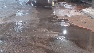كسر بخط المياه بشارع فريد ندا ببنها.. وشركة مياه الشرب بالقليوبية : جاري إصلاح العطل (صور) 