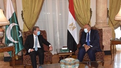 جلسة مباحثات بين وزير الخارجية ونظيره الباكستاني بقصر التحرير (صور) 