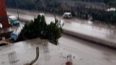 هطول أمطار ثلجية على محافظة الغربية (صور) 