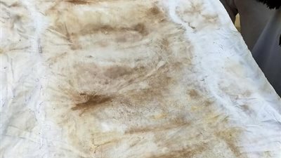 شباب أسيوط ينظمون حملة لتنظيف مقابر منفلوط من 