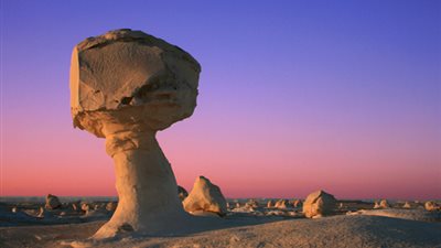 الجارديان البريطانية تنشر تقريرًا بعنوان 