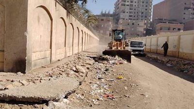 حفاظًا على صحة المواطنين.. رفع 100 طن من المخلفات الصلبة والقمامة بقرى المنيا