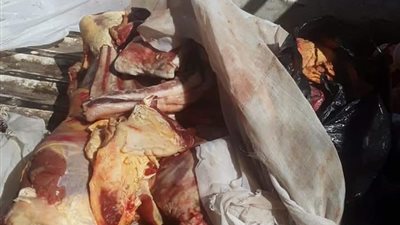 ضبط 438 كيلو لحوم ودواجن فاسدة خلال حملة بأسيوط