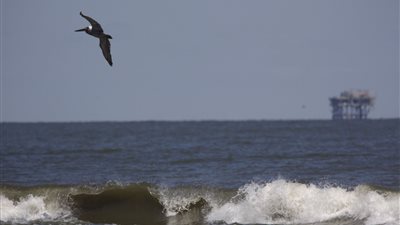 مستويات مياه البحار والمحيطات ترتفع بوتيرة تفوق التوقعات