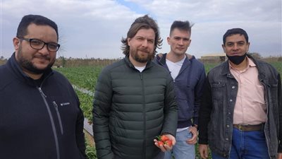 وفد روسي يزور الإسماعيلية لبحث استيراد 300 طن من الفراولة يوميًا (صور)