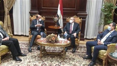 رئيس الشيوخ: مستعدون لتقديم كل الدعم للقضاء المصري