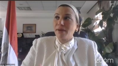 وزيرة البيئة: الوزارة تدعم الشباب ولا بد من توافر 4 محاور للتقدم للمشروعات 