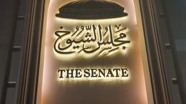 القاهرة 24