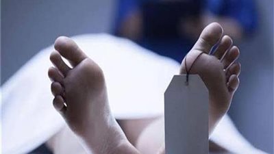 تفاصيل مقتل سيدة على يد نجلها في قنا