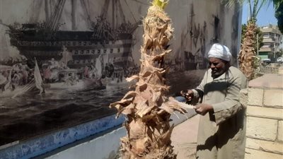 بمشاركة الآثار.. قرية البارود بقنا تستعد للاحتفال بالعيد القومي للمحافظة