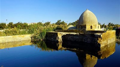 مصدر يوضح حقيقة خروج مشهد 