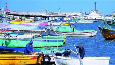 السيسي يوجه بدعم وحماية صغار الصيادين وضمهم لصندوق دعم العمالة غير المنتظمة