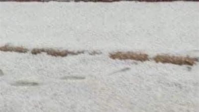 تزامنًا مع موجة طقس غير مستقر.. سقوط ثلوج بقرية جلبانة بالإسماعيلية (صور)