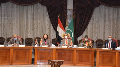 وزارة الاتصالات ومحافظة المنيا تناقشان تهيئة المحافظة لأعمال التحول الرقمي (صور)