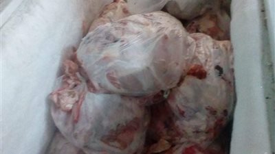 ضبط 250 كيلو دواجن غير صالحة للاستهلاك الآدمي في بورسعيد (صور) 