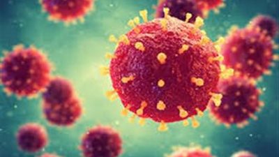 إصابة معلم بكفر الشيخ بفيروس كورونا المستجد