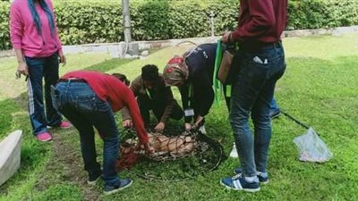 ليست للقتل وإنما للتوعية.. حملة لتطعيم الكلاب ضد السعار بالجيزة (صور)