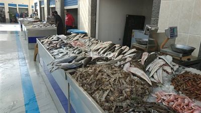 أسعار الأسماك اليوم السبت 27 فبراير 2021